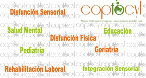 VI Jornadas Castellanoleonesas de Terapia Ocupacional