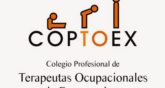 Apoyo para la adaptación de la FP para personas con discapacidad