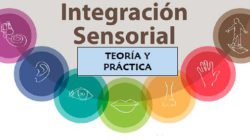 Cursos de formación externa.