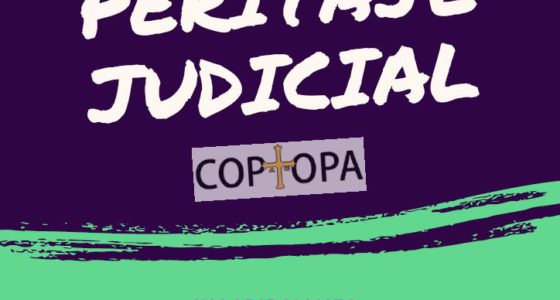 Curso Peritaje Judicial