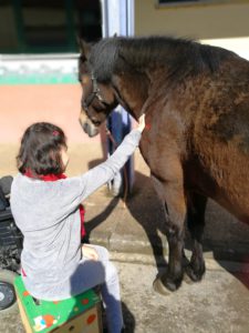 Imagen acariciando a un caballo