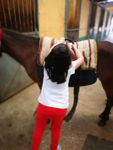 niña colocando monturas al caballo